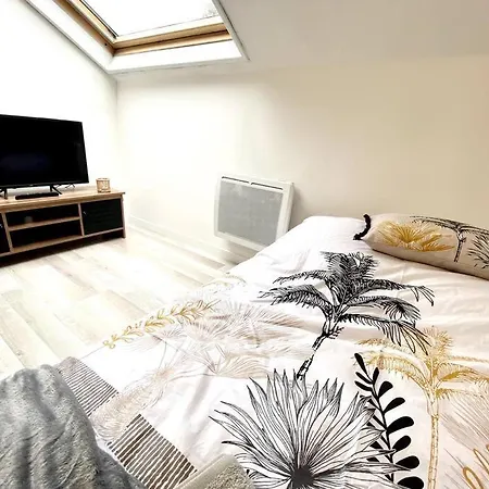 Lenova4 - Centre-ville - Tv - Wifi Apartment